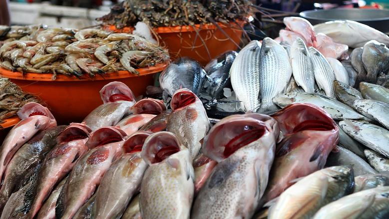 أسعار الأسماك والجمبري اليوم السبت 14 يونيو 2025