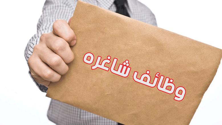براتب يصل إلى 15 ألف جنيه.. العمل تعلن عن وظائف جديدة  للشباب من الجنسين