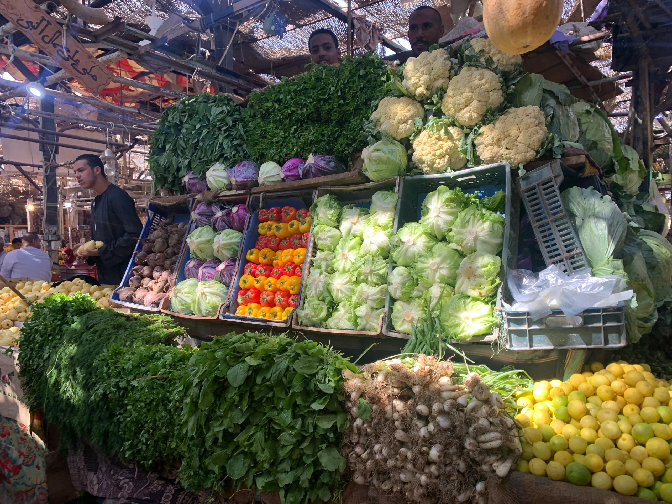 الليمون بكام.. أسعار الخضروات والفاكهة اليوم الأحد 15 يونيو 2025