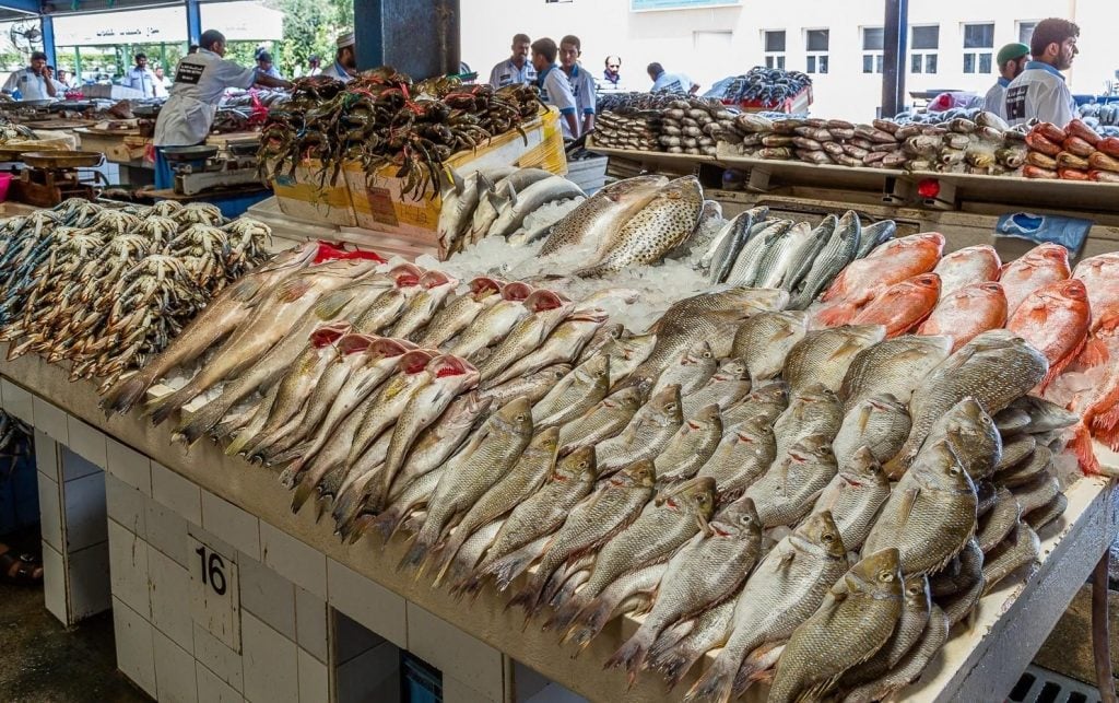 أسعار الأسماك والجمبري في سوق العبور اليوم الأربعاء 18 يونيو 2025