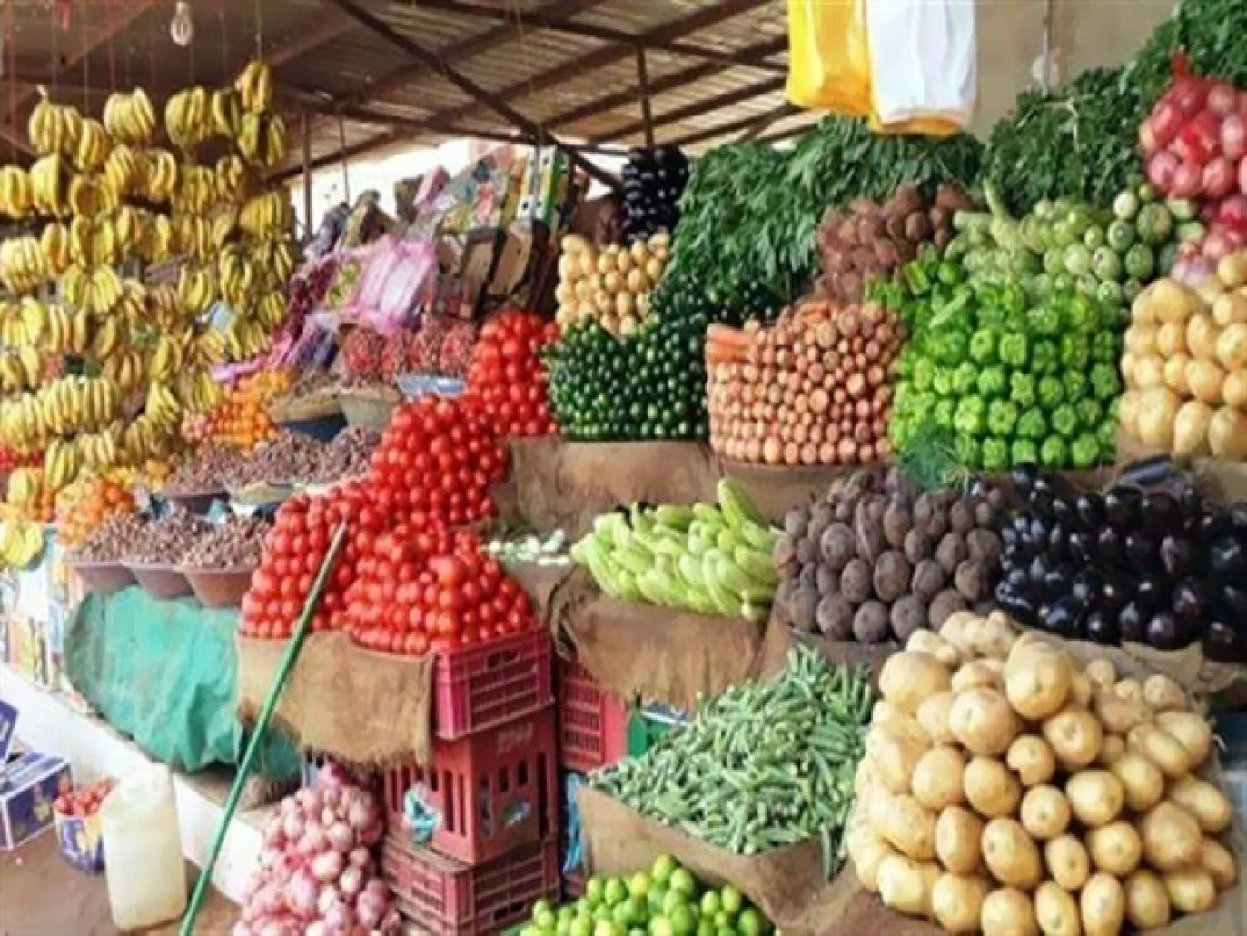بكام كيلو الطماطم.. أسعار الخضروات والفاكهة اليوم الاثنين 16 يونيو 2025