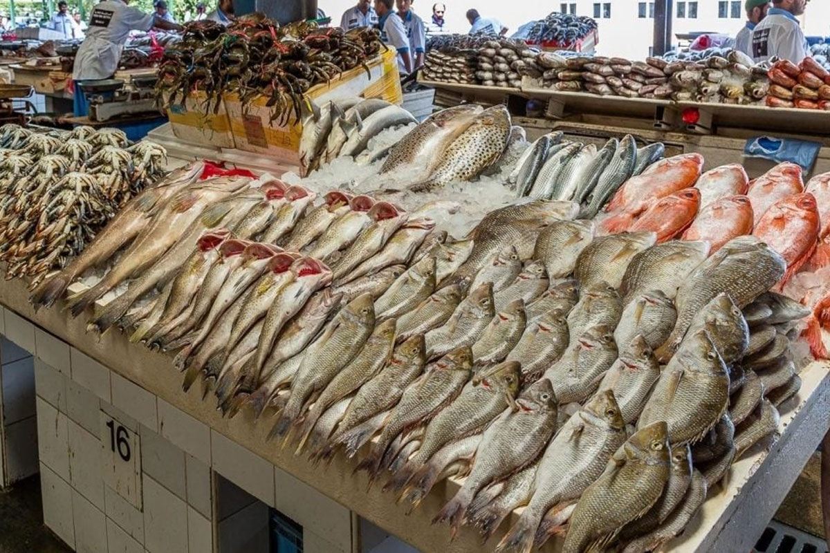 الجمبري بكام.. أسعار الأسماك والجمبري اليوم السبت 21 يونيو 2025