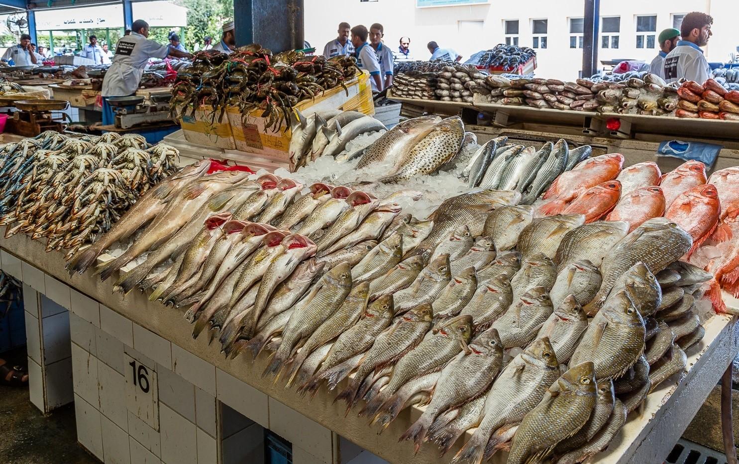 البلطي بـ 30 جنيه.. أسعار الأسماك والجمبري اليوم الخميس 10 يوليو 2025