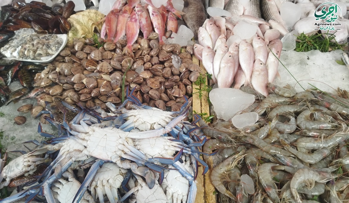 البلطي بـ 30 جنيه.. أسعار الأسماك والجمبري اليوم السبت 12 يوليو 2025