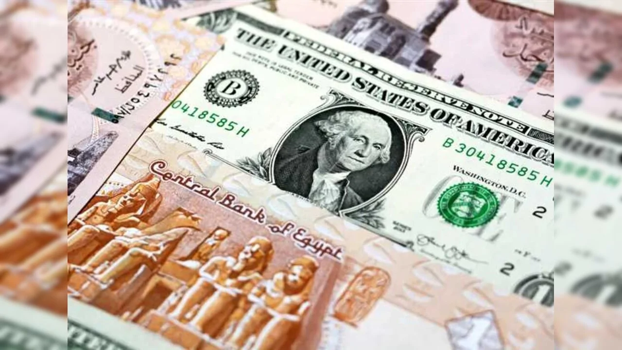 بعد تراجعه.. أسعار الدولار اليوم السبت 19 يوليو 2025