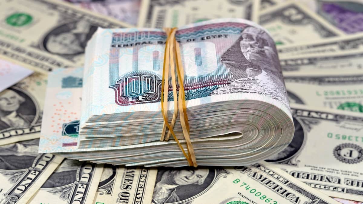 أسعار الدولار اليوم الخميس 21 أغسطس 2025