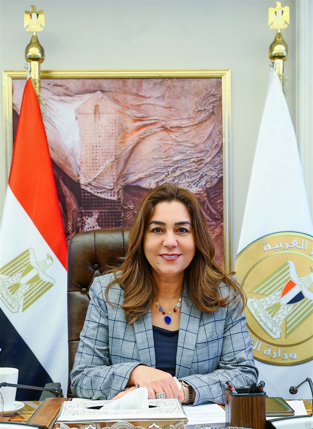 توجيه عاجل من التنمية المحلية بشأن أملاك الدولة