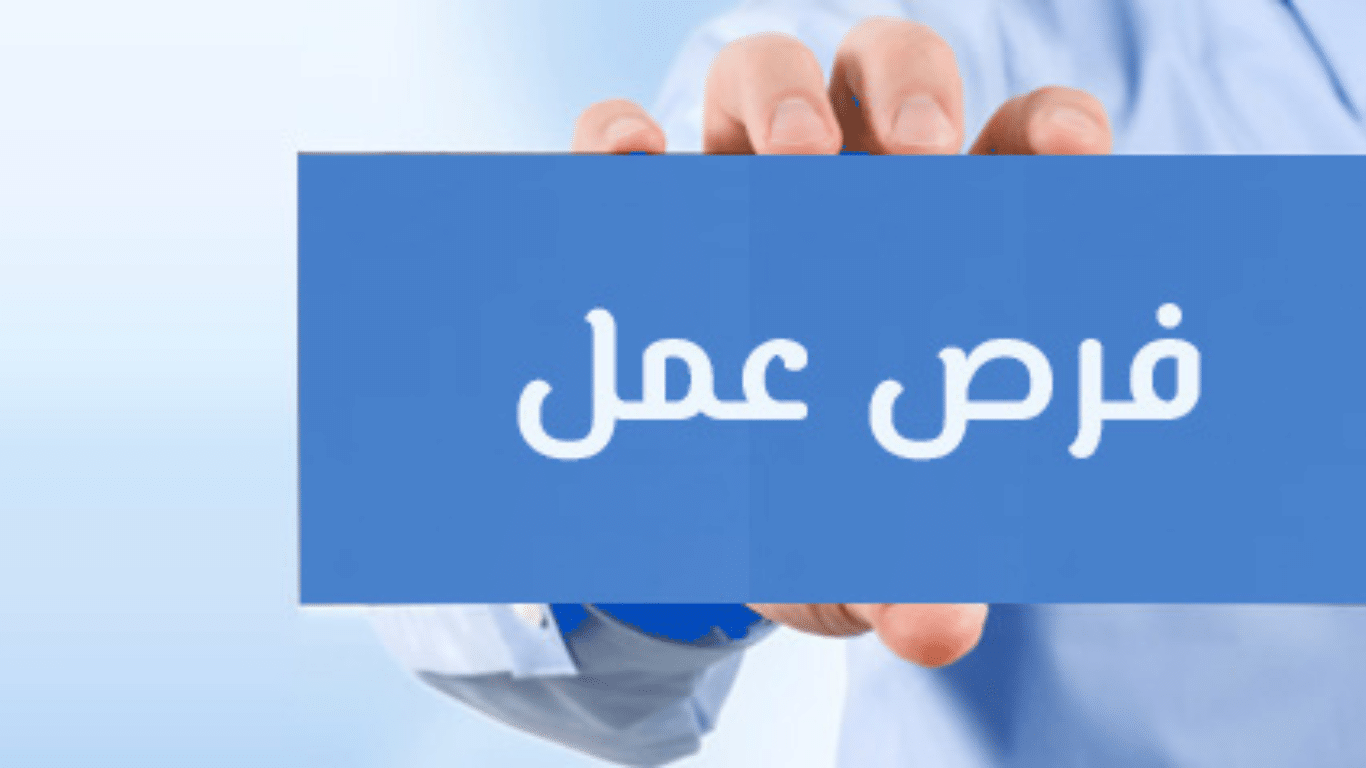 الشروط والأوراق المطلوبة للتقديم في وظائف وزارة التضامن