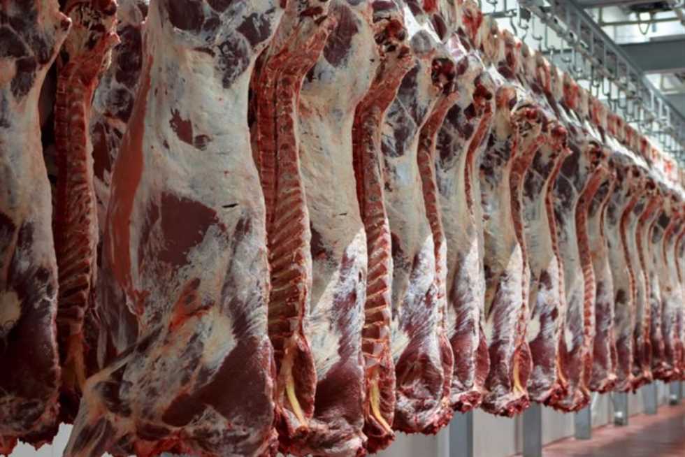 الأسعار هترجع زي زمان.. نقيب الفلاحين يزف بشرى سارة بشأن أسعار اللحوم