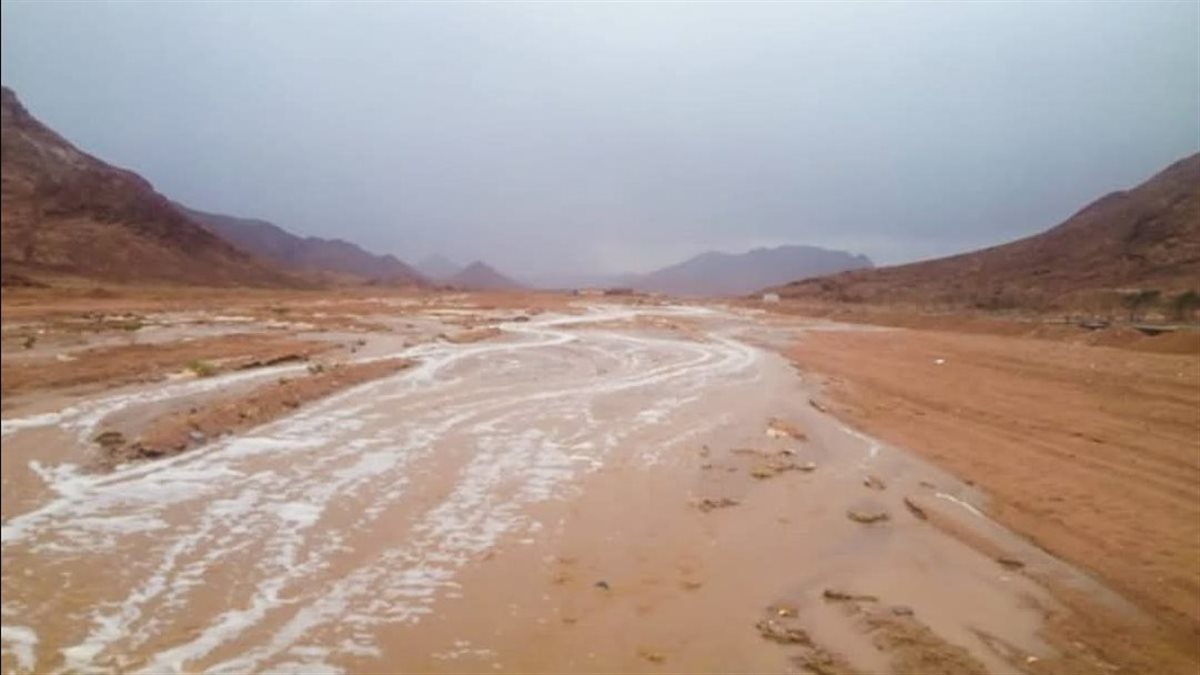 تصريح هام من الري بخصوص مواجهة السيول